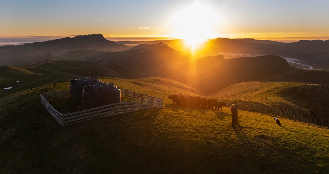 Countrywide | Take the plunge