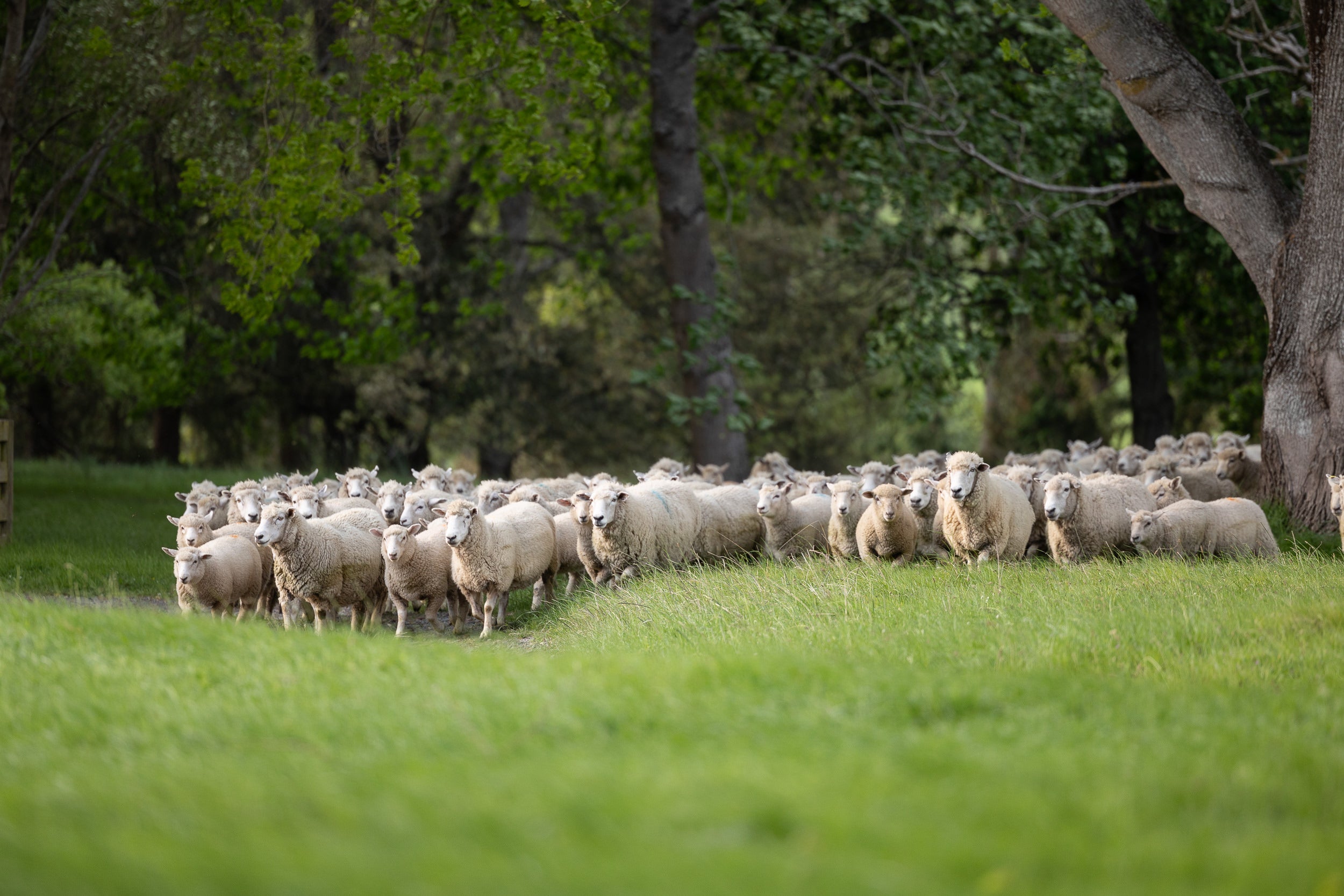 Behind the Scenes: A Day in the Life at Matangi Farms